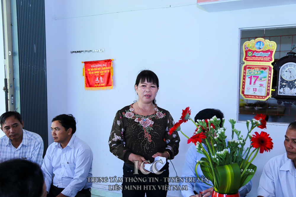 Sự kiện Quý II